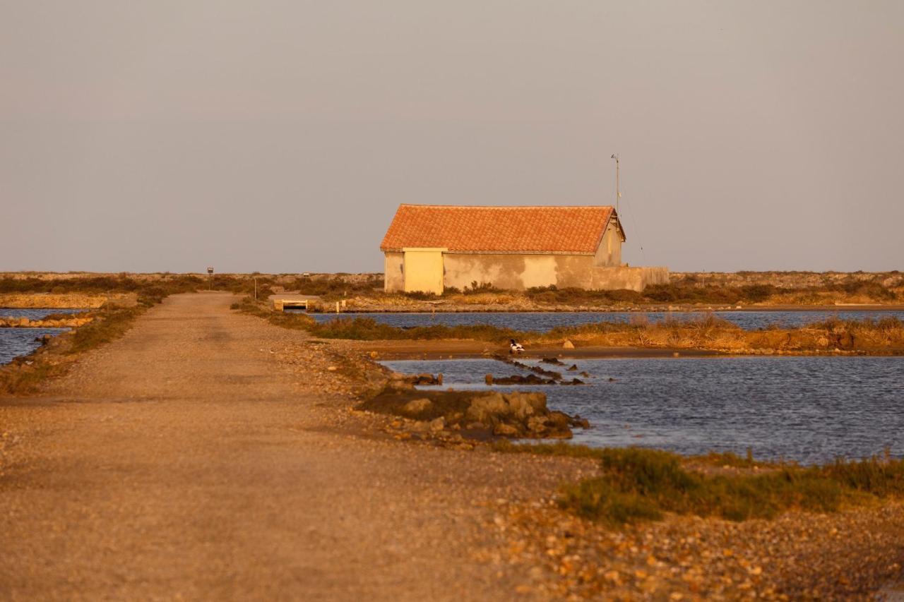Vvf Narbonne-Plage Saint-Pierre-La-Mer Fleury  Εξωτερικό φωτογραφία